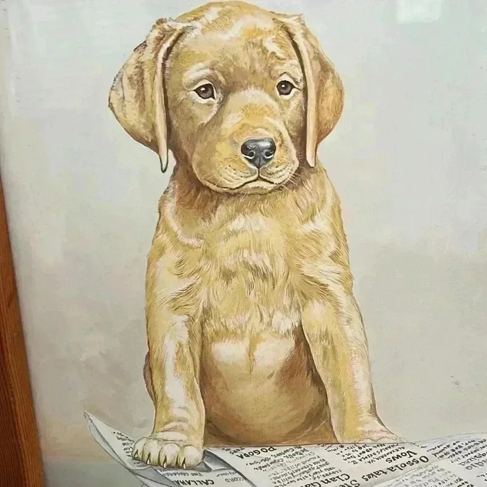 Vintage 1979 LABRADOR RETRIEVER PUPPY with paper Print SIGNED by Lou DePaolis - Picture 3 of 7